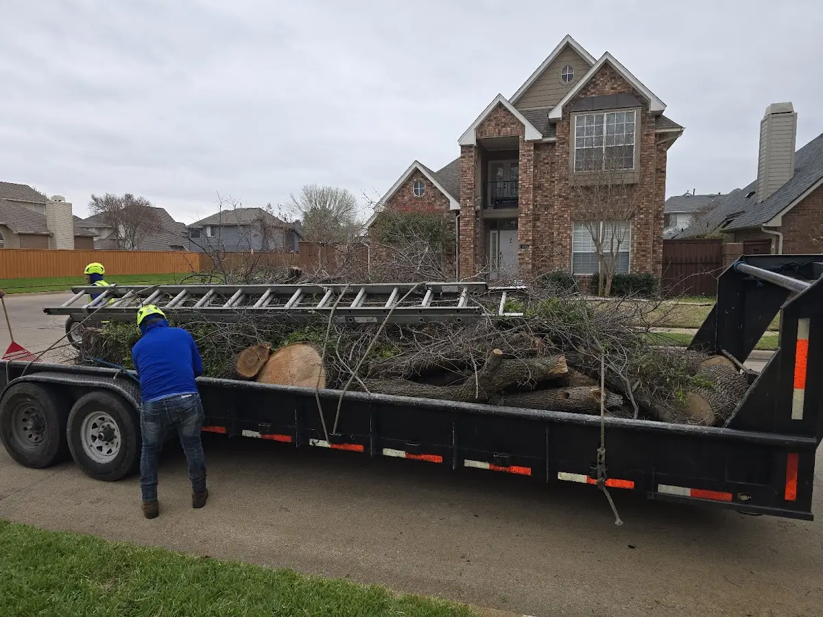 Expert Crown Reduction with proper safety equipment in Poplarville